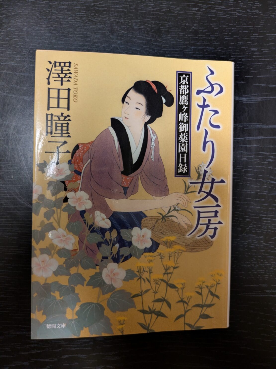 京都文学散歩【澤田瞳子・京都鷹ヶ峰御薬園目録 ふたり女房】 | 注文