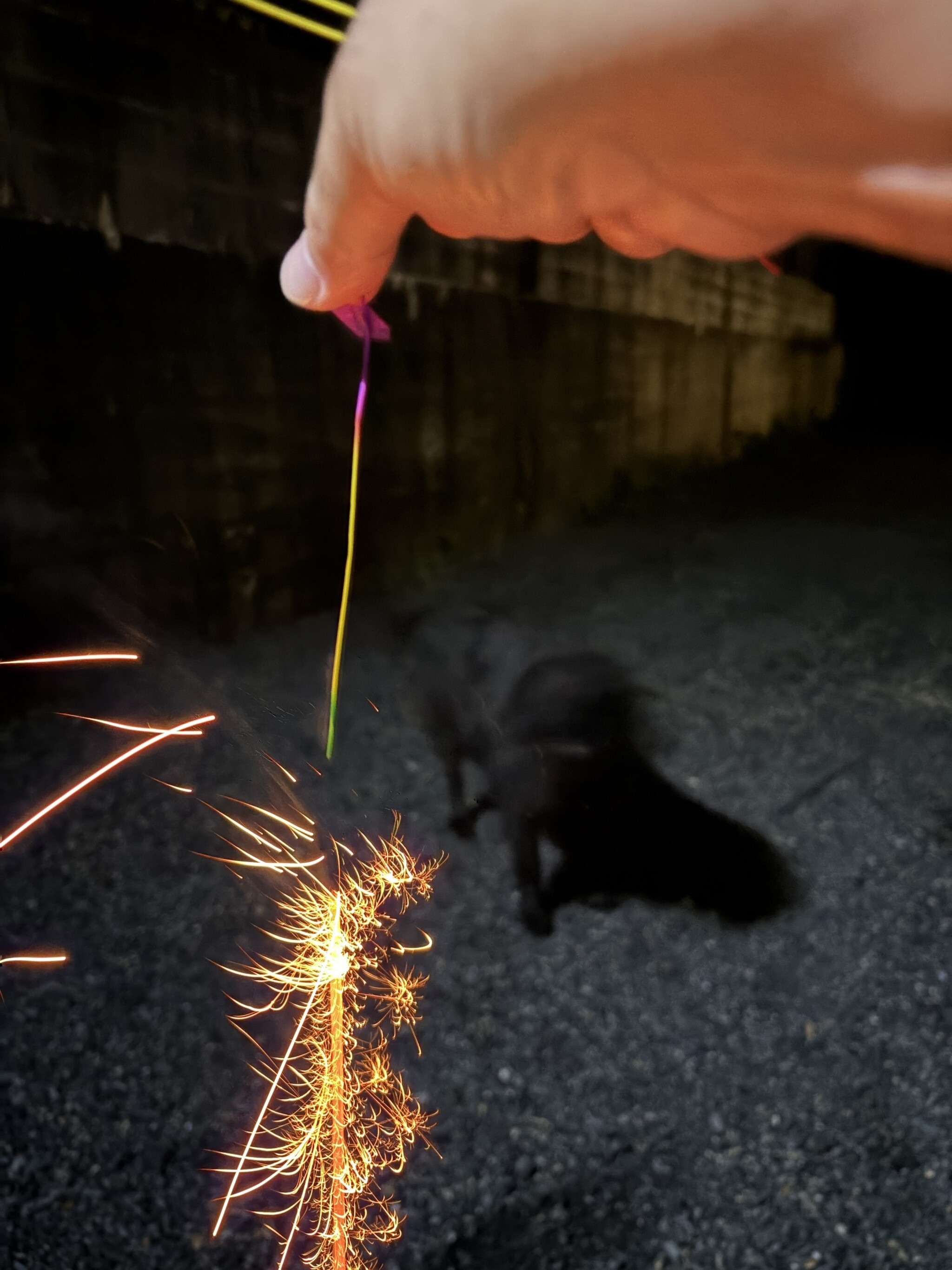 家の前で線香花火をする様子